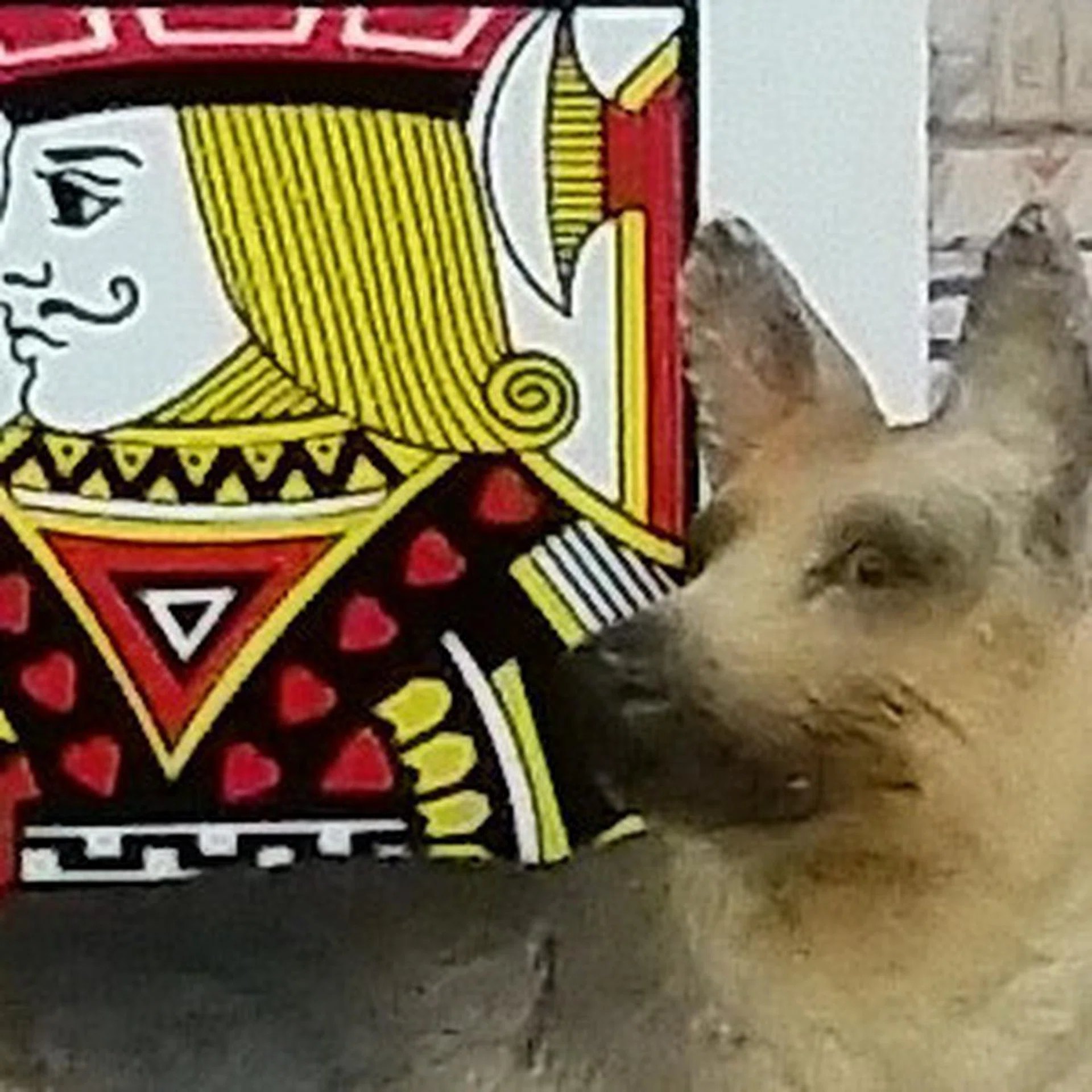 Details start to get smudged at ISO400 for the Samsung S5.