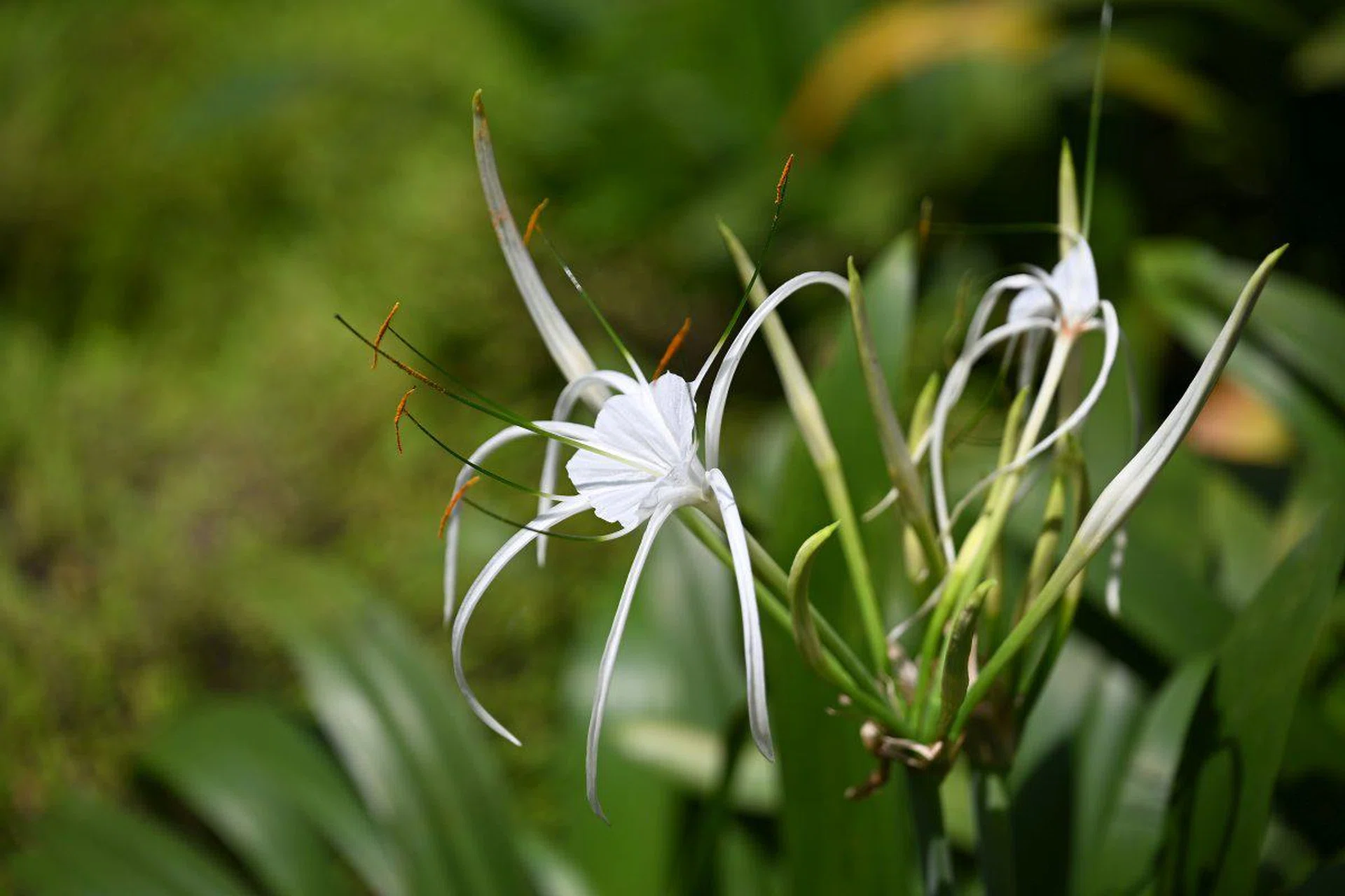 120mm at f/4, 1/1600s, ISO 100. Image Source: HWZ
