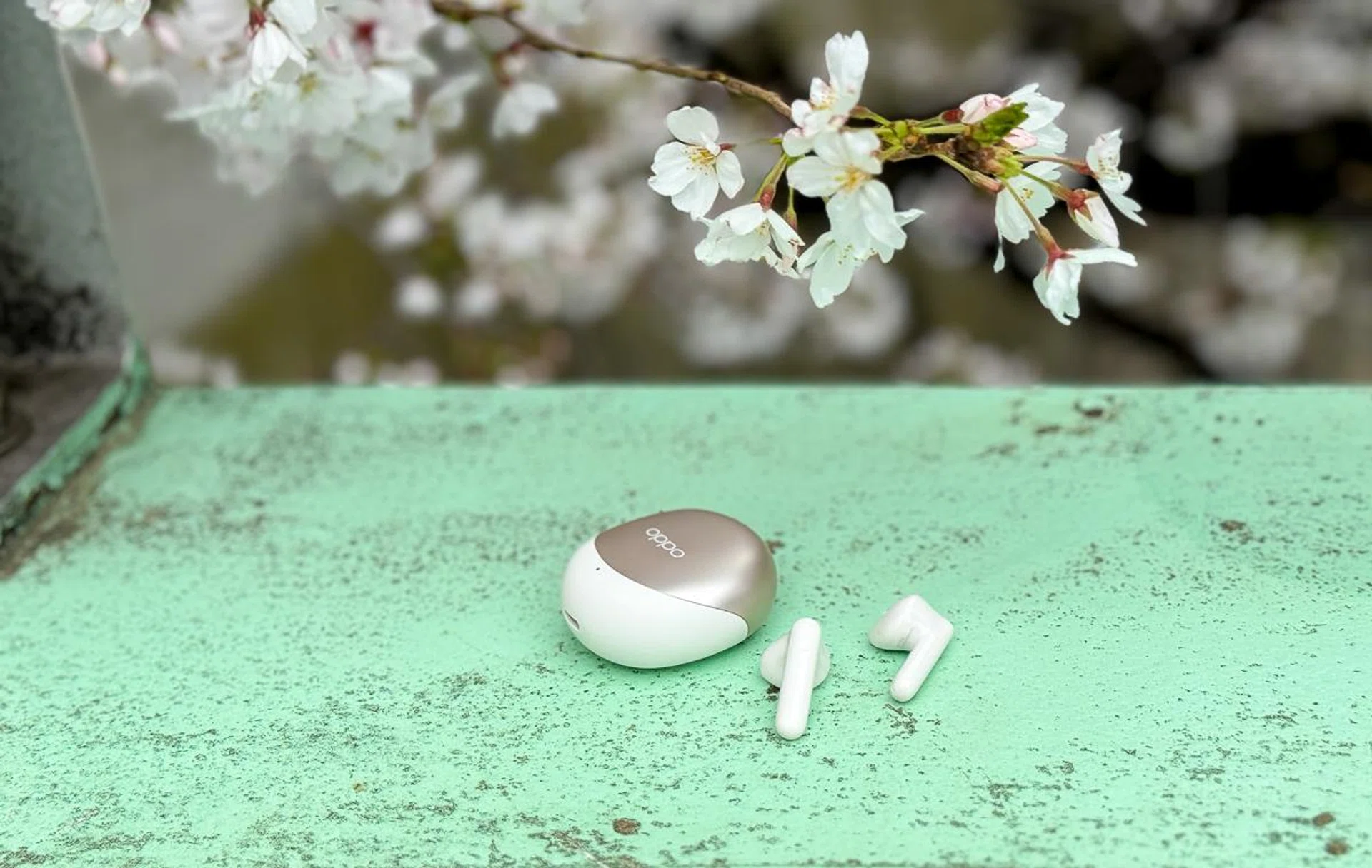 The value is quite hard to beat.