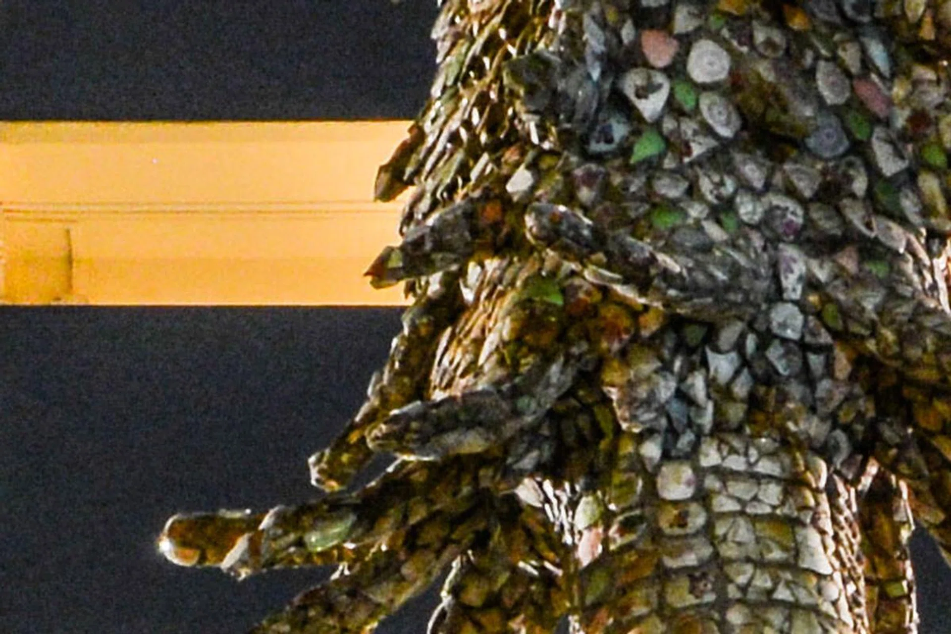In this 100% crop of the image below, you can see that while the D800 captures a lot of detail, it also displays noticeable image noise. Photographed at ISO800, 1.6 sec (with NR off, so more noise is captured).