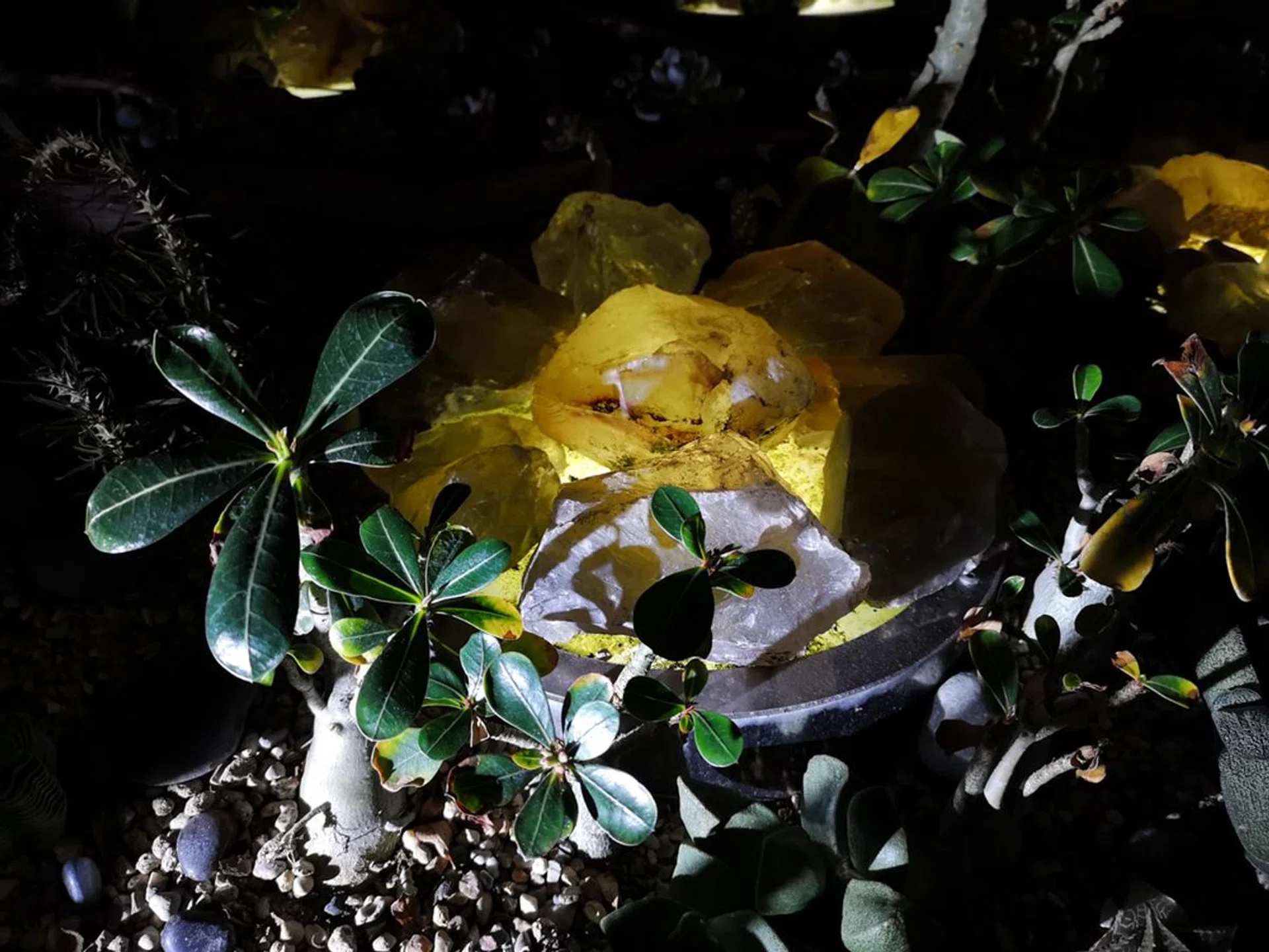 f/1.8 at 3.95mm, 1/50 sec, ISO 400. One more, for the amazes. Once again, this shot accurately captures how the scene looked like in real life.