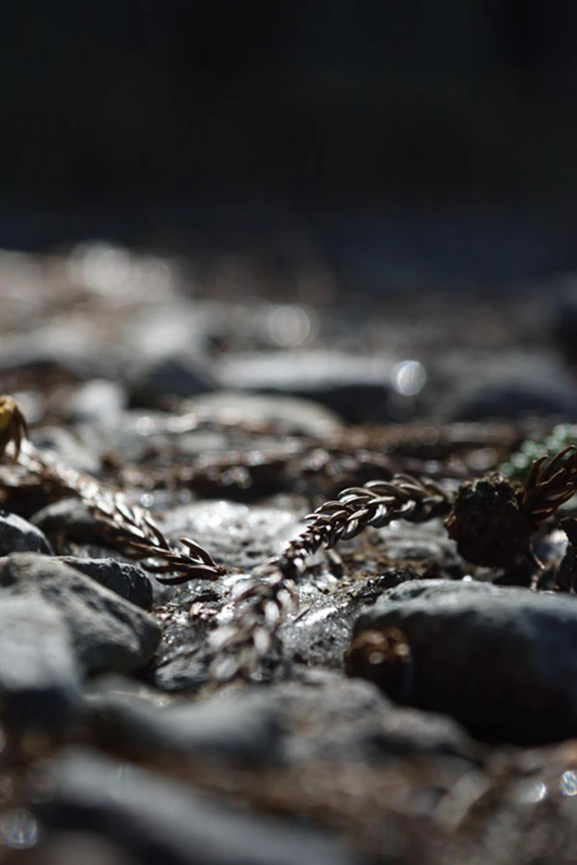 f/5.6 at 55mm, 1/200s, ISO 400