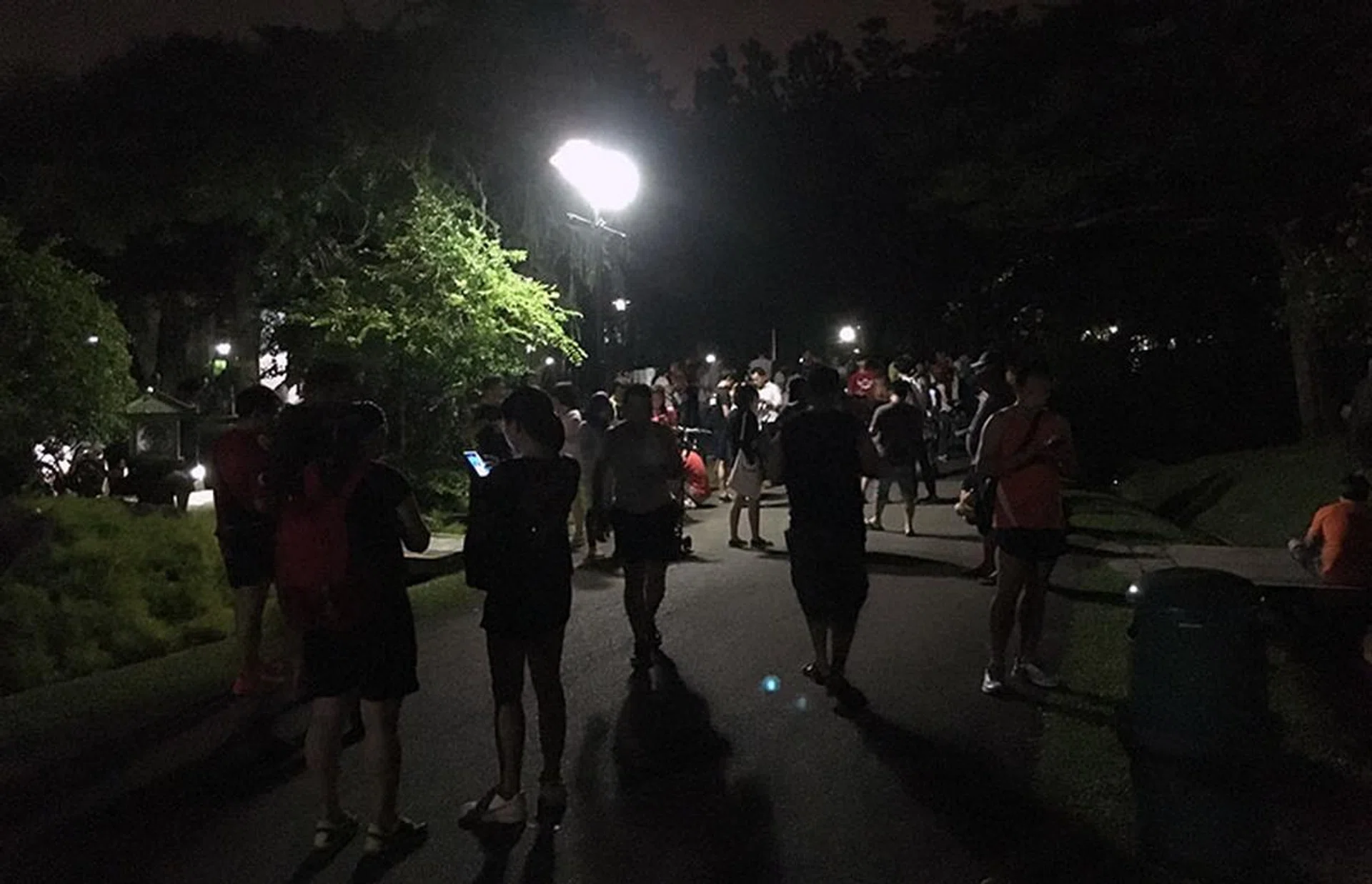 So, so many players.