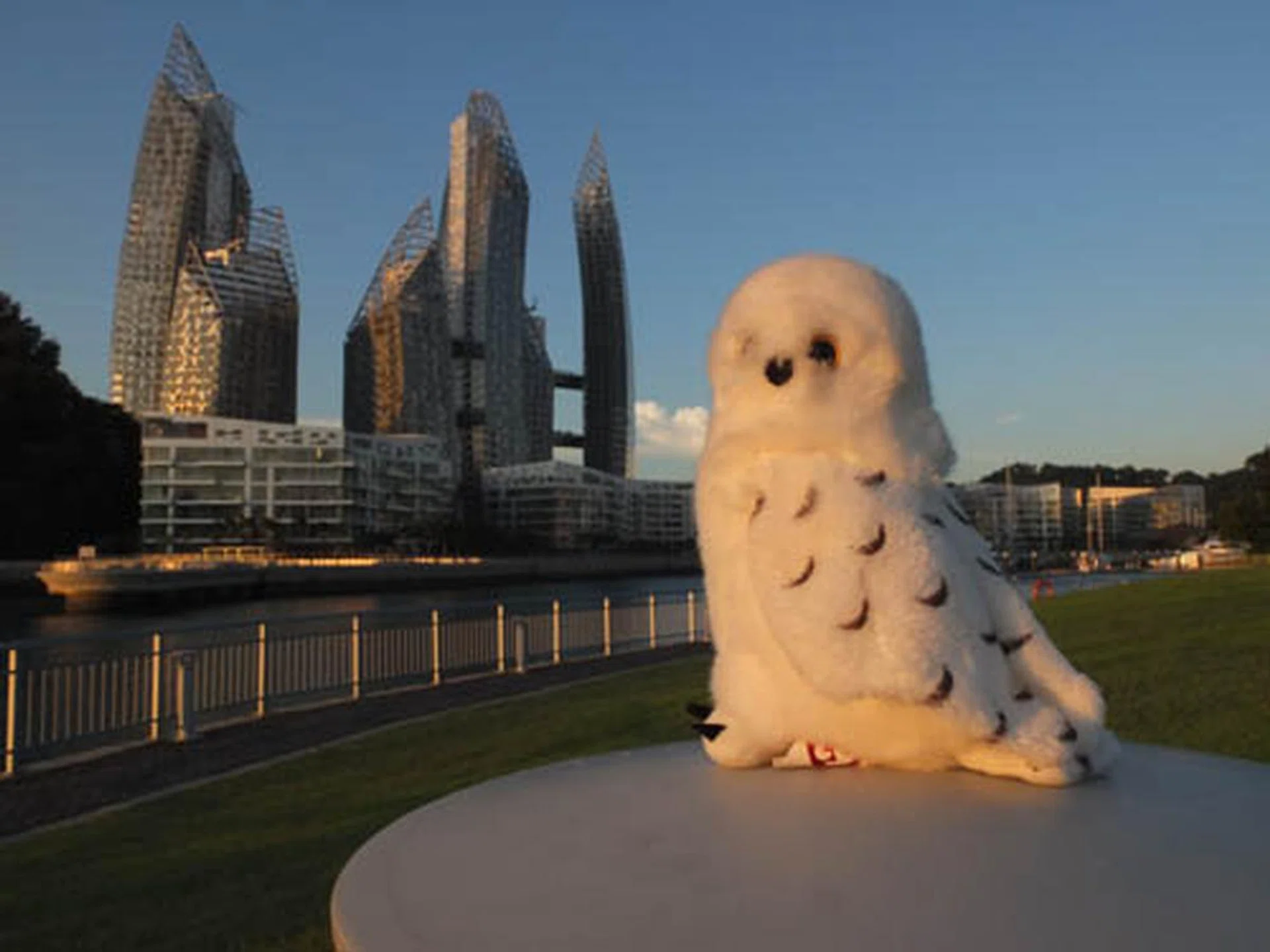 f/8 at 28mm (35mm equivalent), 1/550 sec, ISO400.