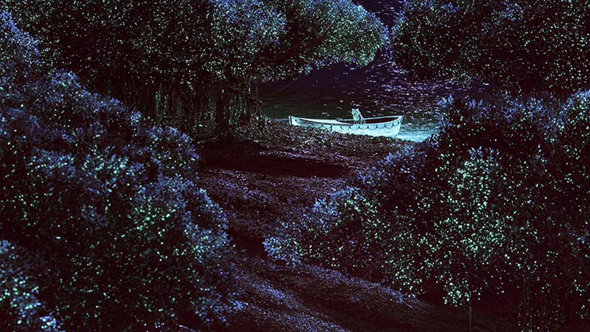 The Bravia A1 offers exceptional HDR performance. (Scene from Life of Pi.)