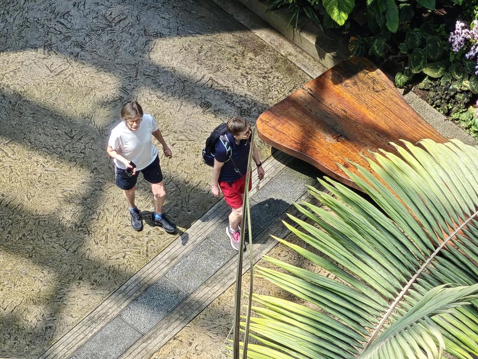10x zoom. Photo: HWZ.