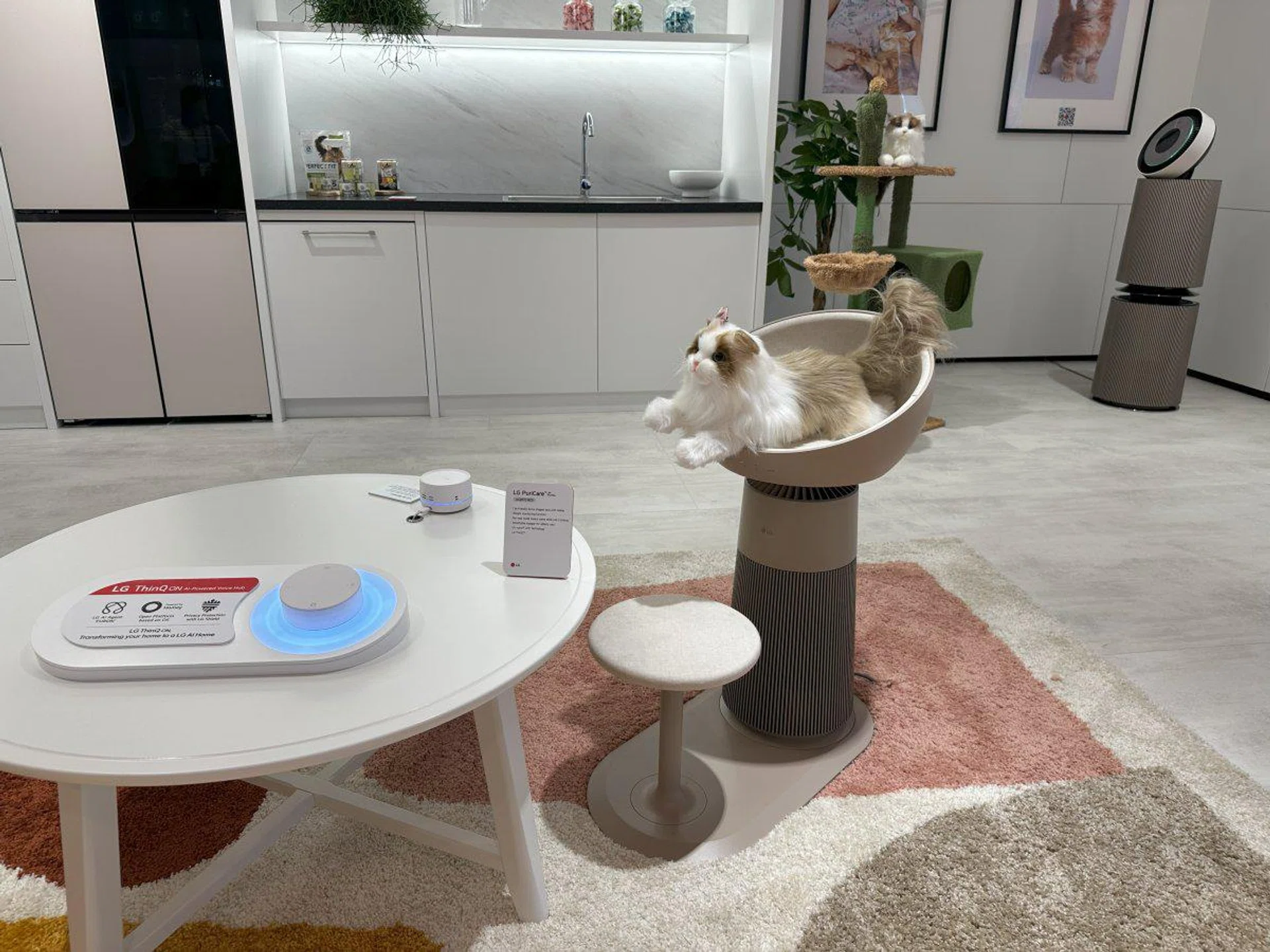 LG AeroCat. Photo: HWZ