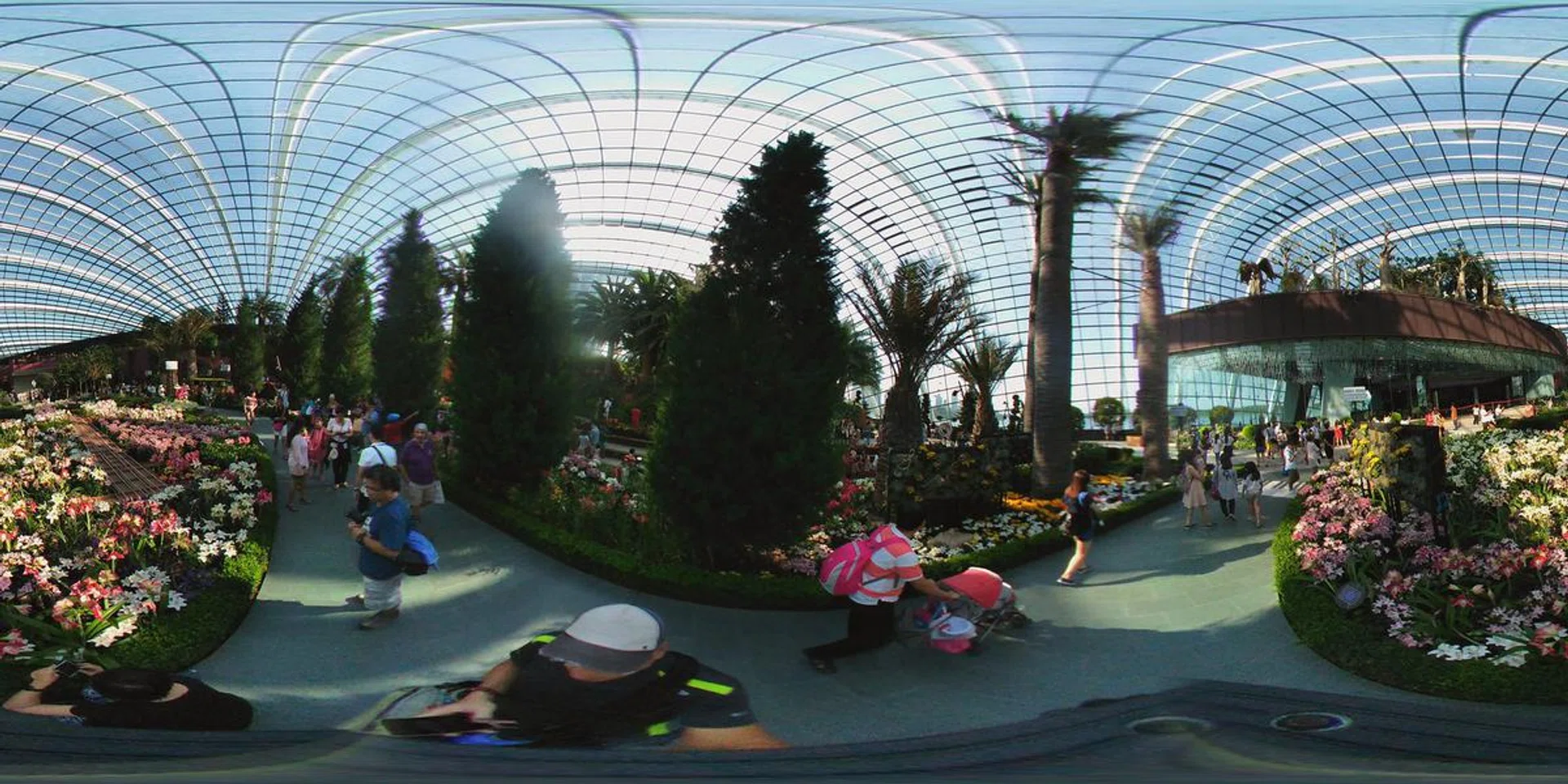 LG-flowerDome-grdflr