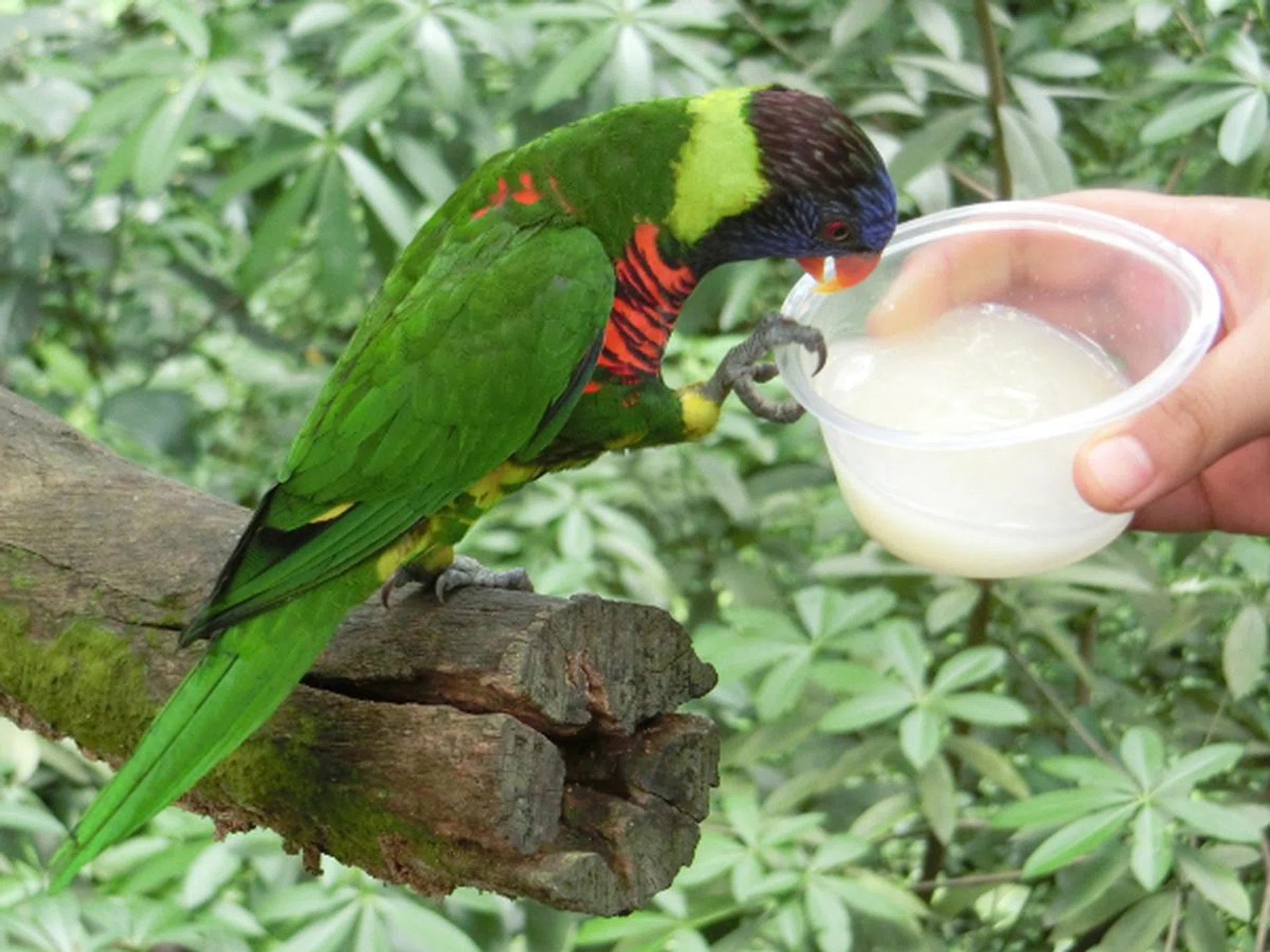 f/5.7 at 107mm, 1/80sec, ISO800