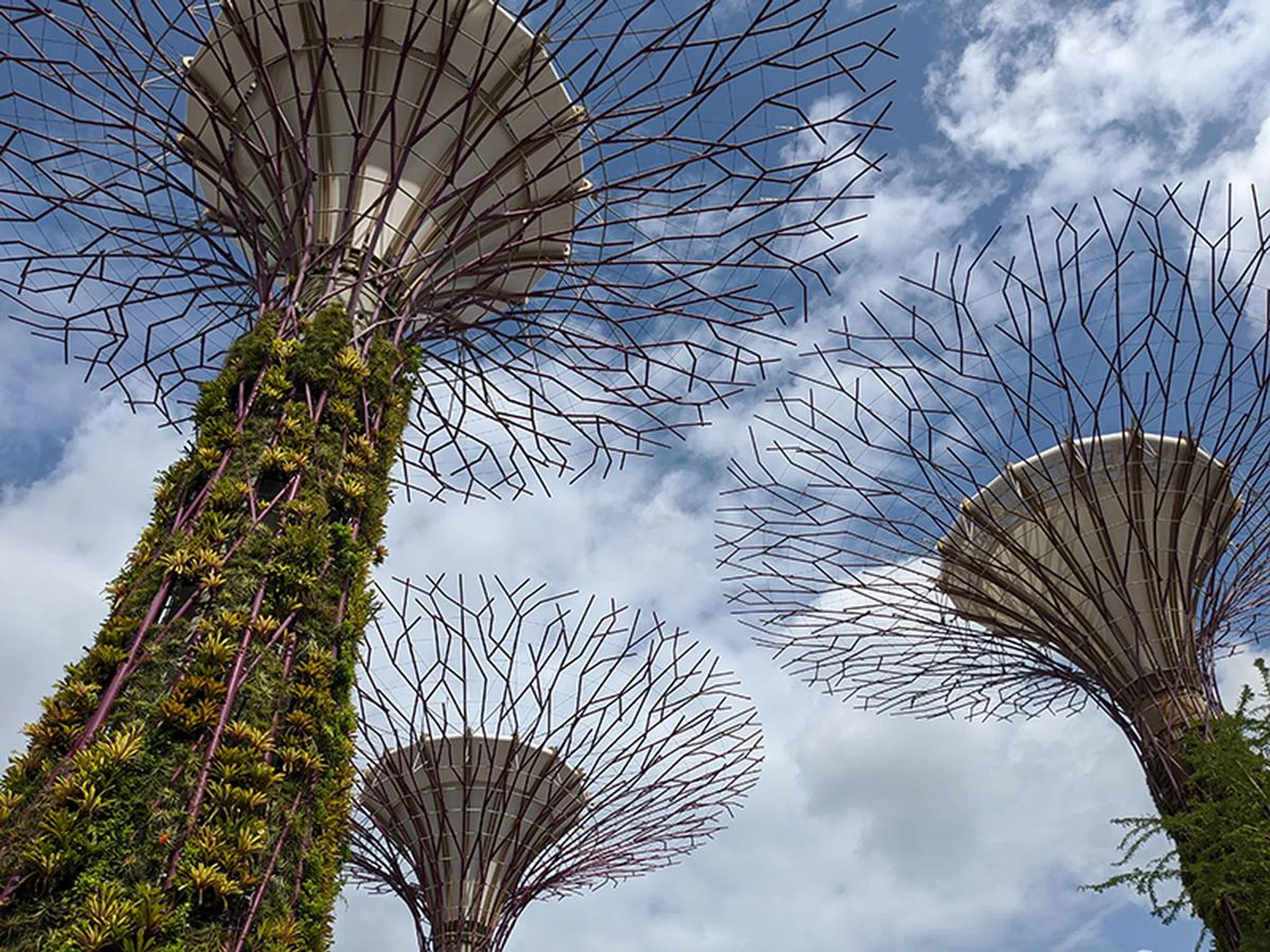 Pixel 4 XL. (Click to view full-size image)