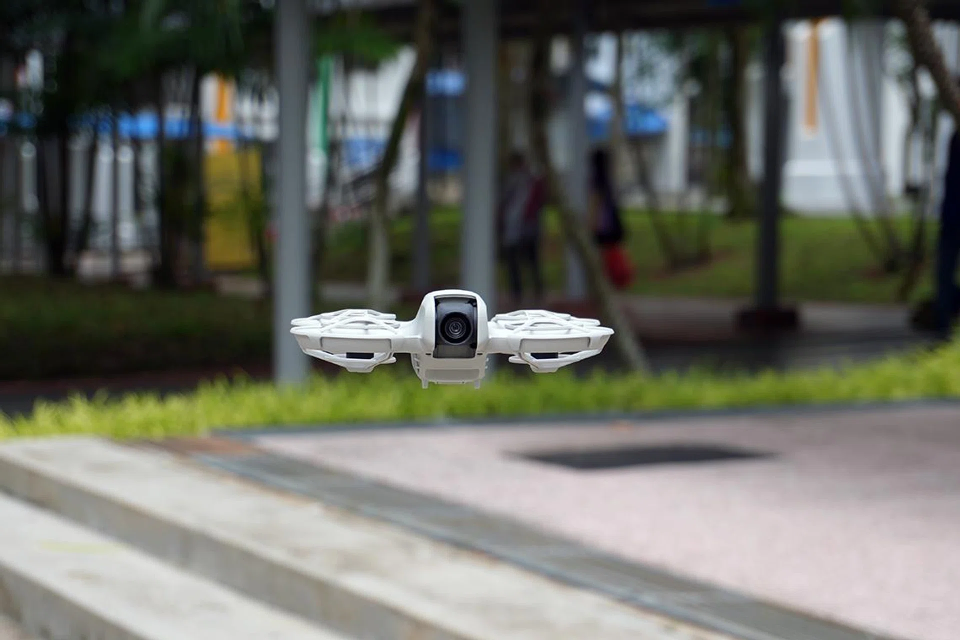 Small yet mighty. Photo: HWZ