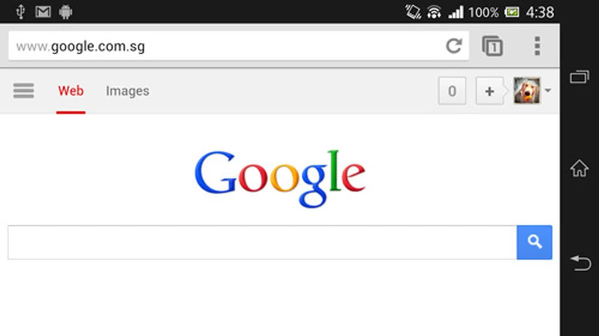 The Google site on an full HD resolution Xperia Z.