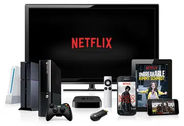 (Image source: Netflix)