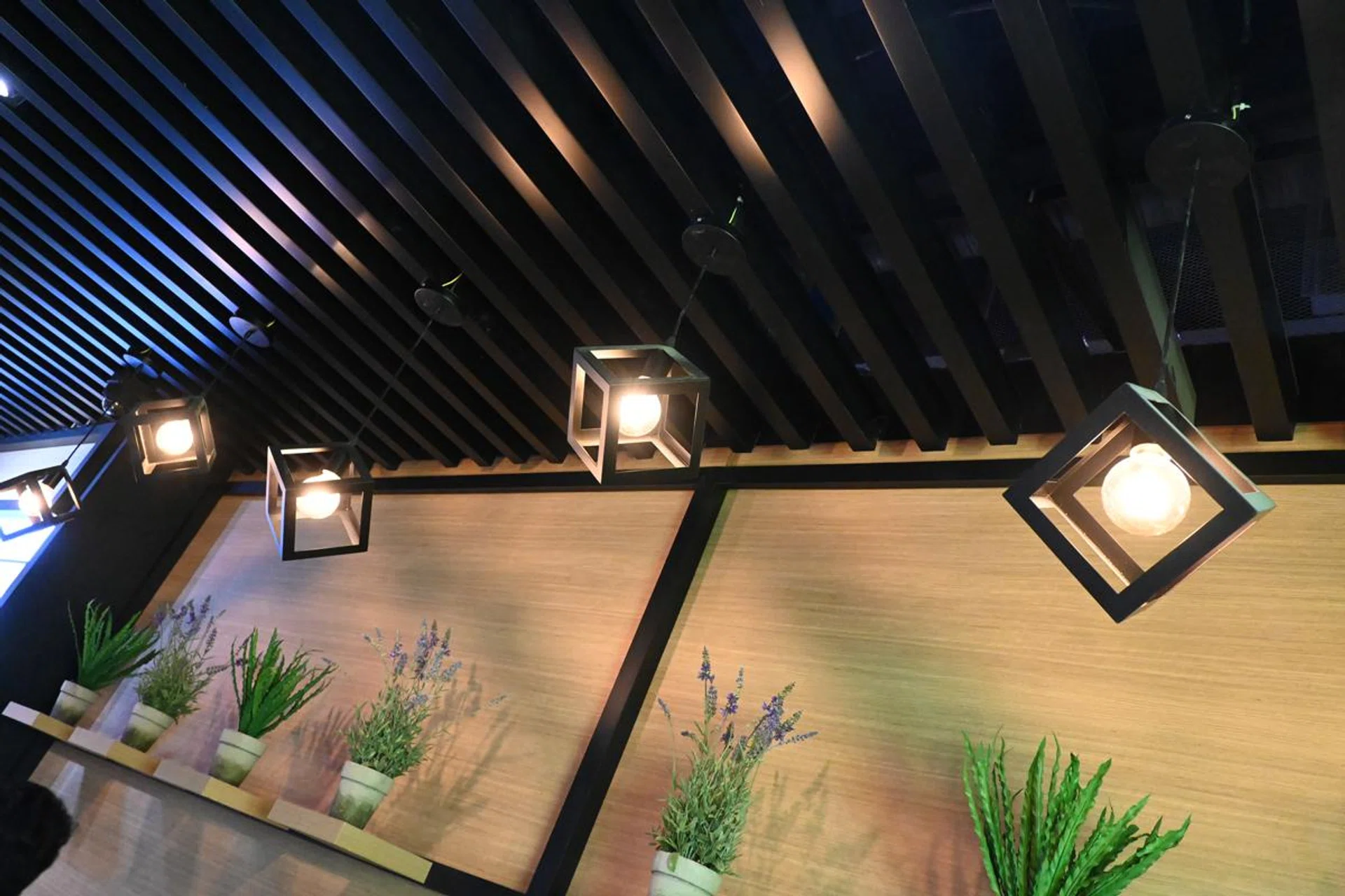 1/100s, ISO 6400, f/5.0, 18mm. Click for original resolution.