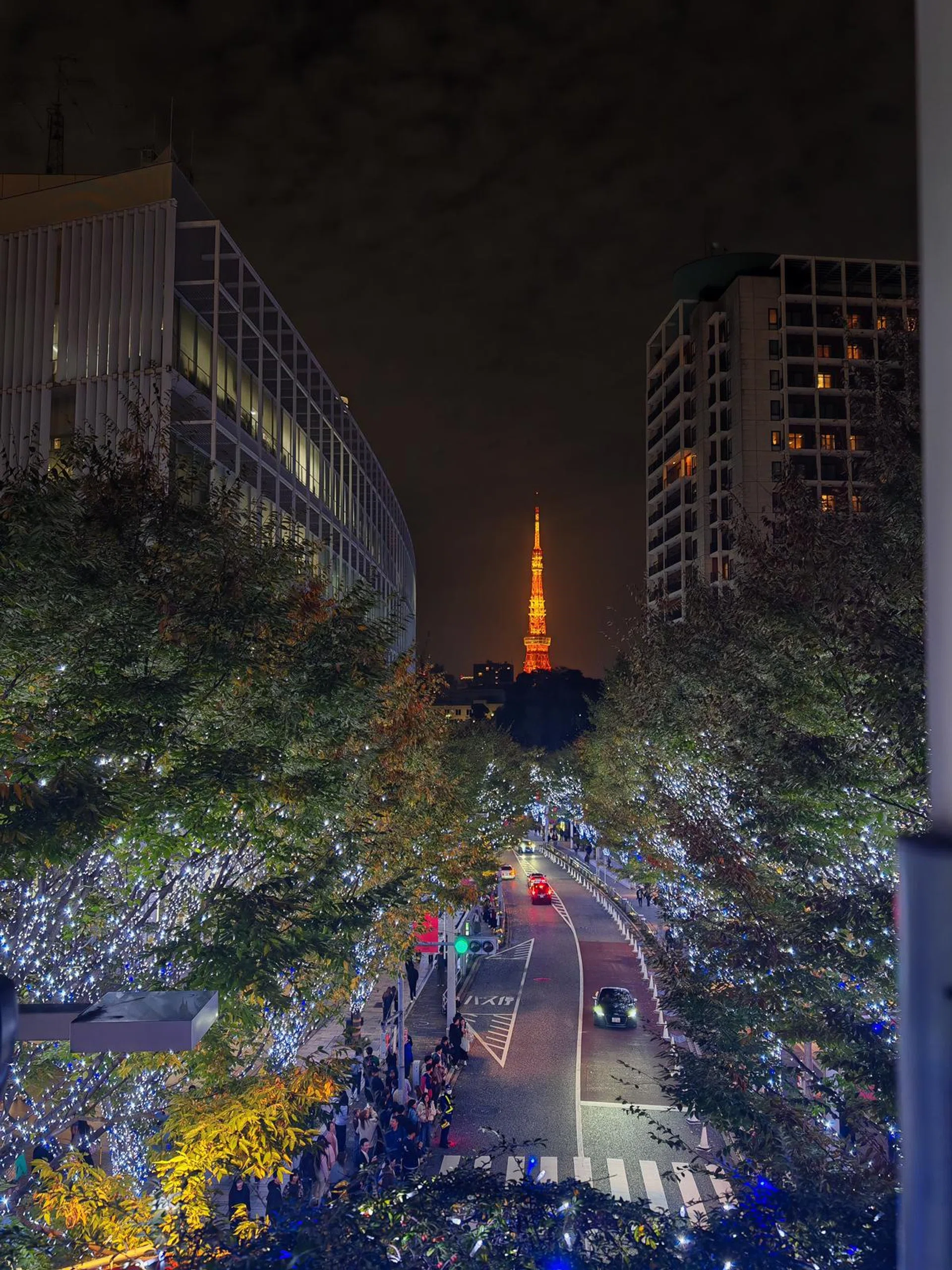 Honor Magic6 Pro. Photo: HWZ.