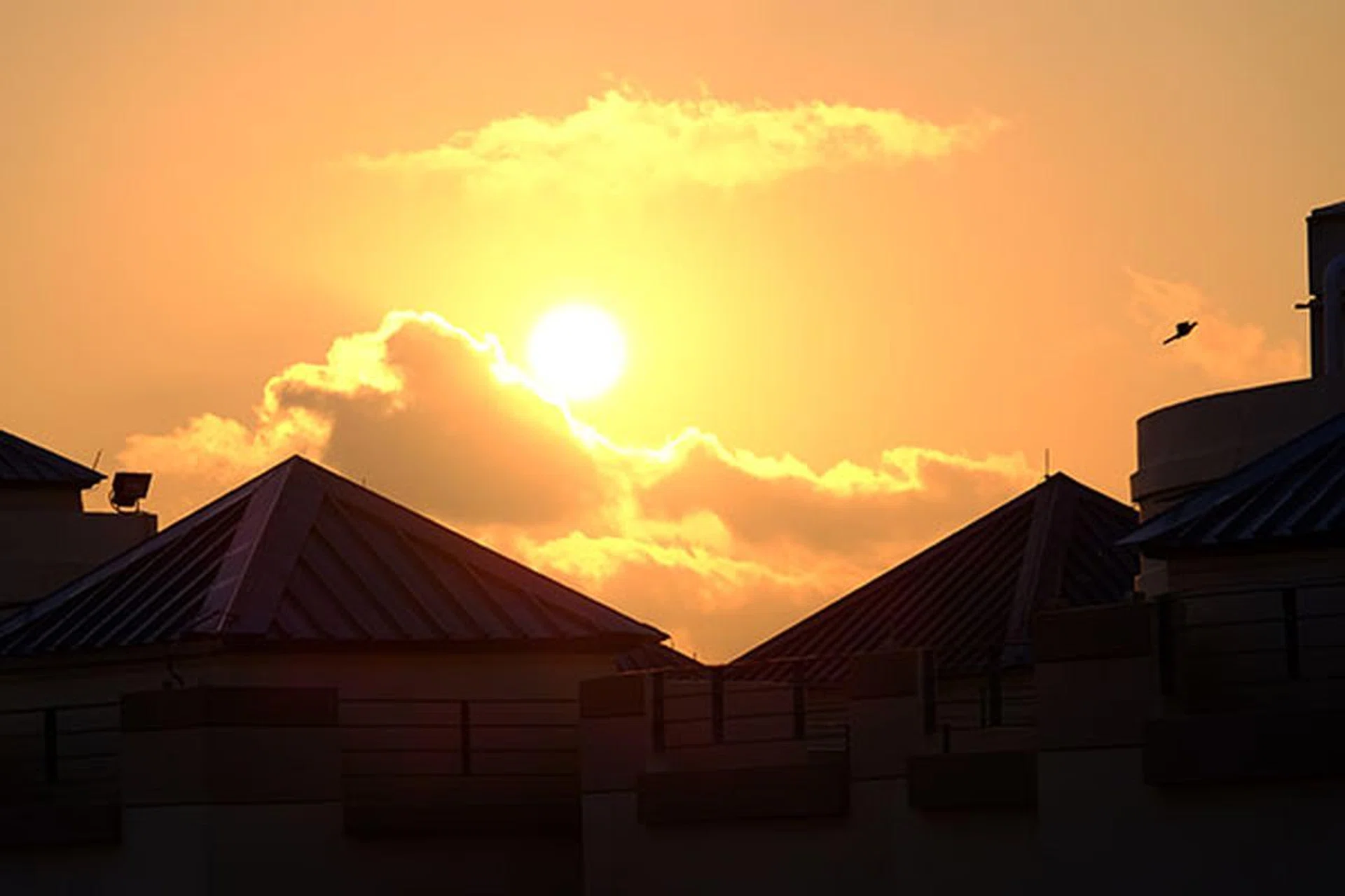 f/10 at 135mm, 1/420s, ISO 200