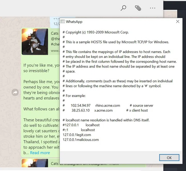 Attackers could see the contents of files received by a certain desktop. (Image Source: Gal Weizman)