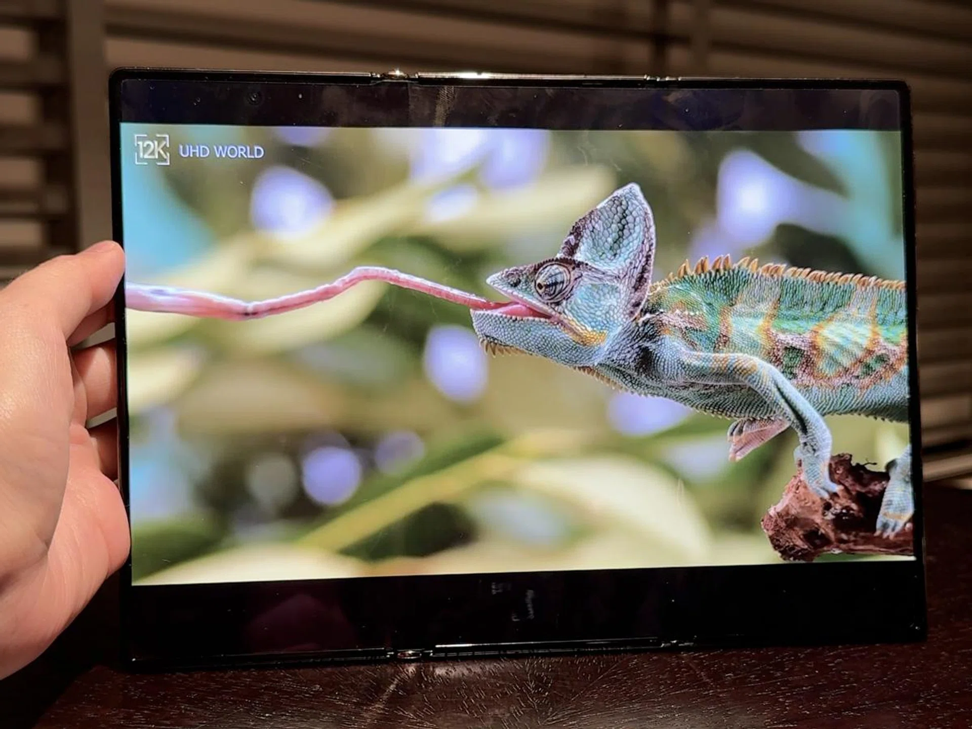 Check out the thinner black bars. Photo: HWZ.