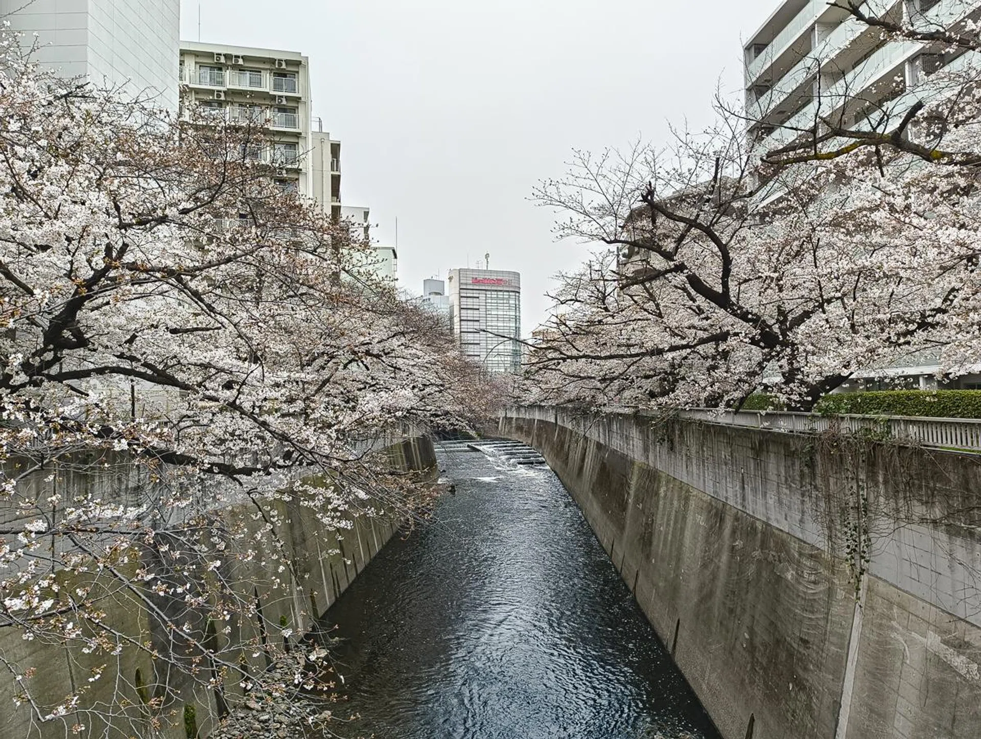 12.5MP pixel binned shot.