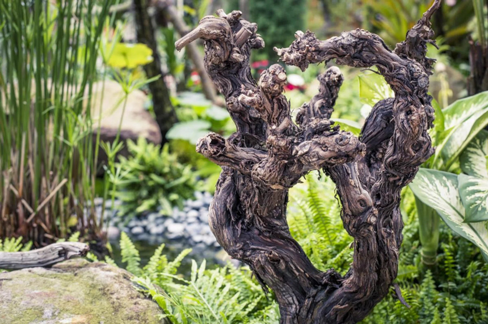 f/5.6 at 50mm, 1/50 sec, ISO 400.