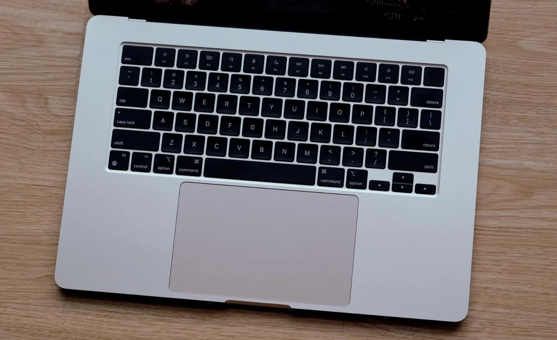 This has to be one of the largest trackpads of any notebook.