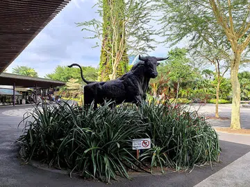 Galaxy S20 Ultra. (Click to view full-size image)