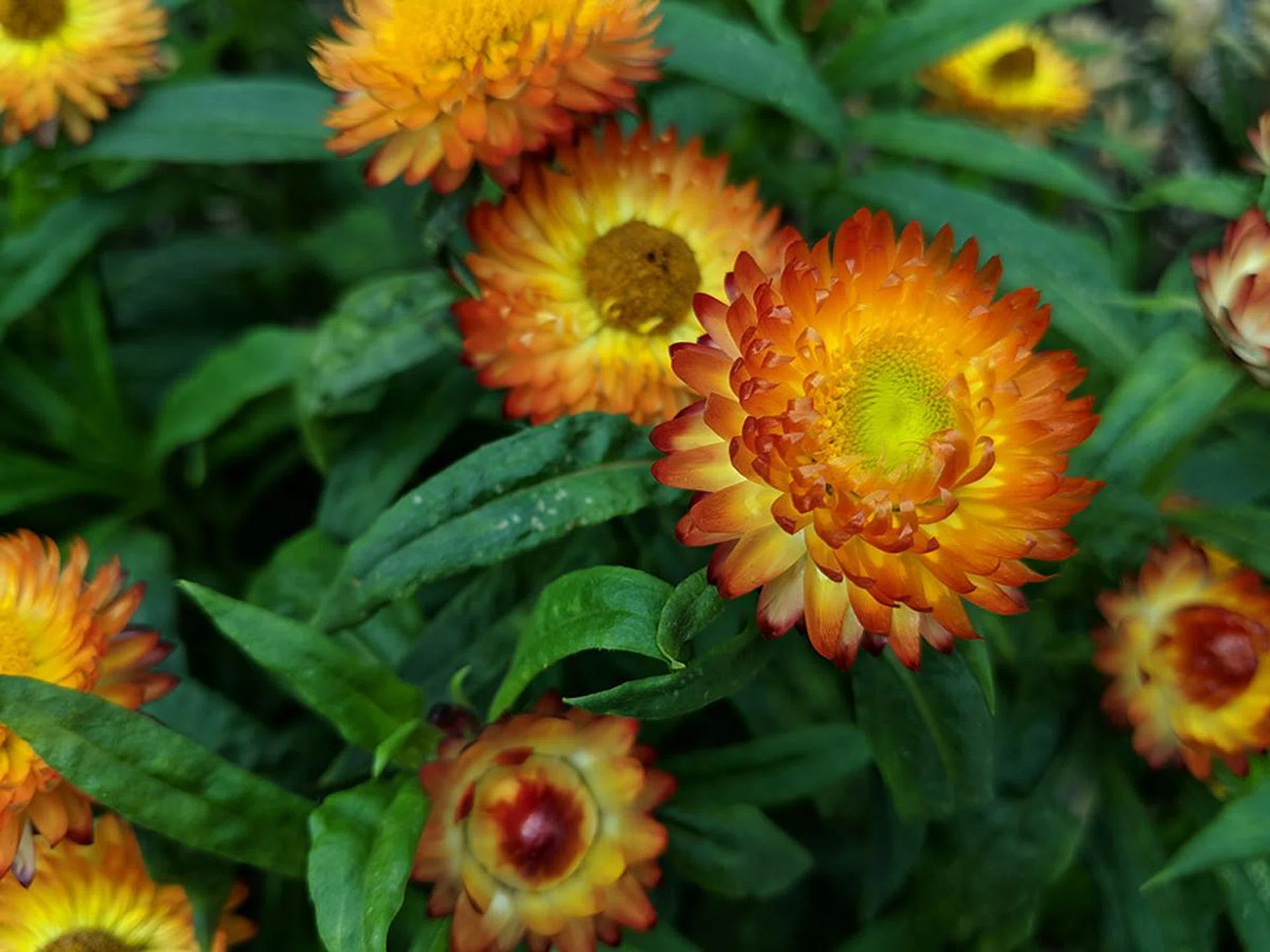 Colors and details are extraordinary; the higher dynamic range makes it look like there’s so much more in a single photograph.