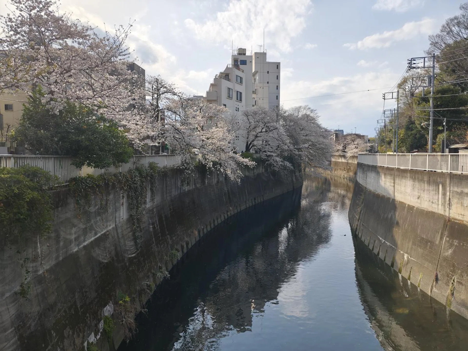 Main camera. Photo: HWZ.