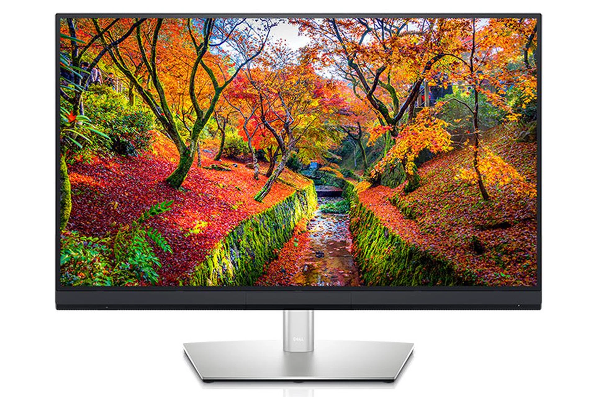Dell UltraSharp 32 HDR PremierColor Monitor UP3221Q. (Image: Dell.)