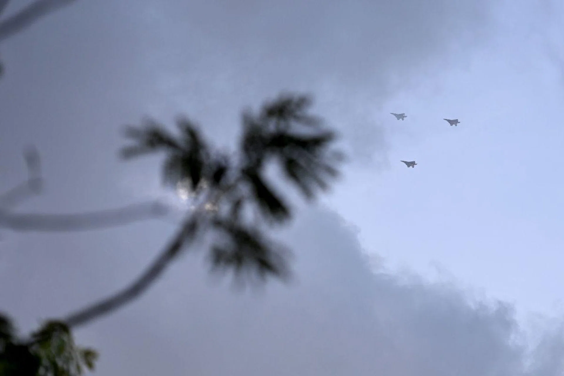 The Z8 was able to detect the F15 Eagle fighter jets even with the branch as foreground. Shooting info: 120mm at f/4, 1/4000s, ISO 400 (50% crop)