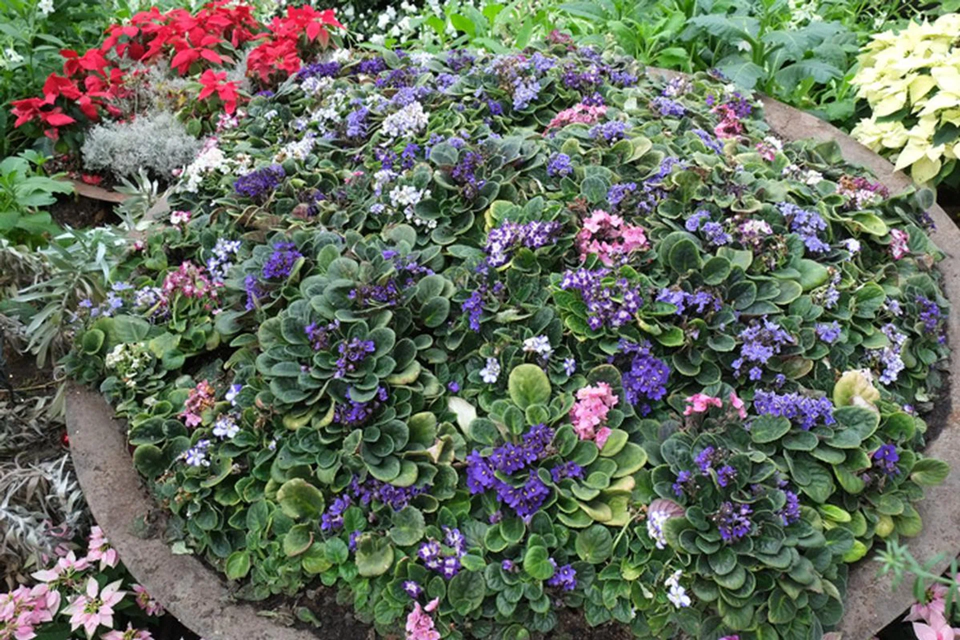 f/5.6 at 27mm (35mm equivalent), 1/34 sec, ISO 200.