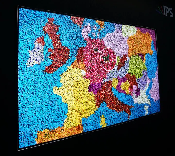 As a result of the angle and focus of the shot, the details are best seen in the center of the TV where the butterfly is present.