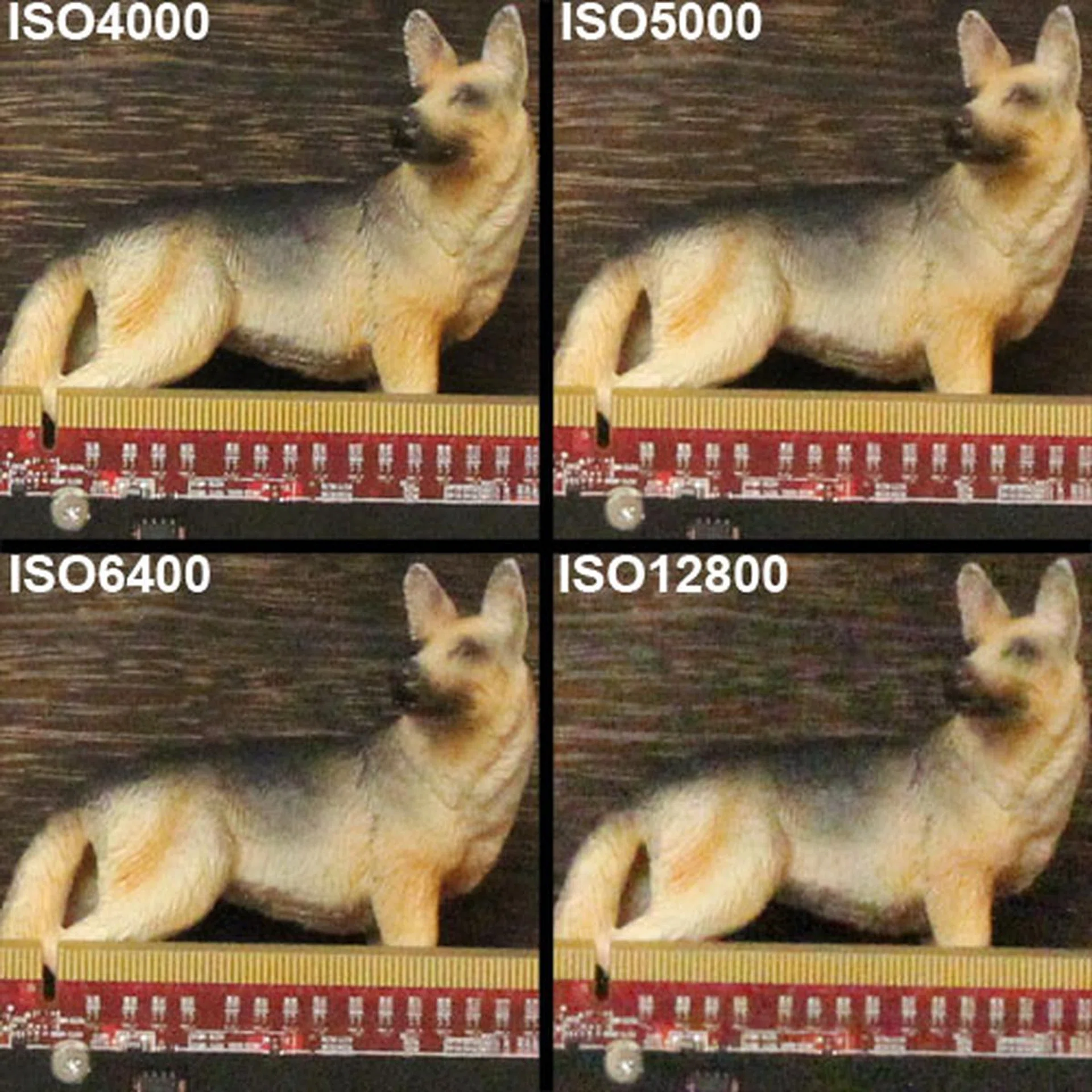 Click for higher resolution image.