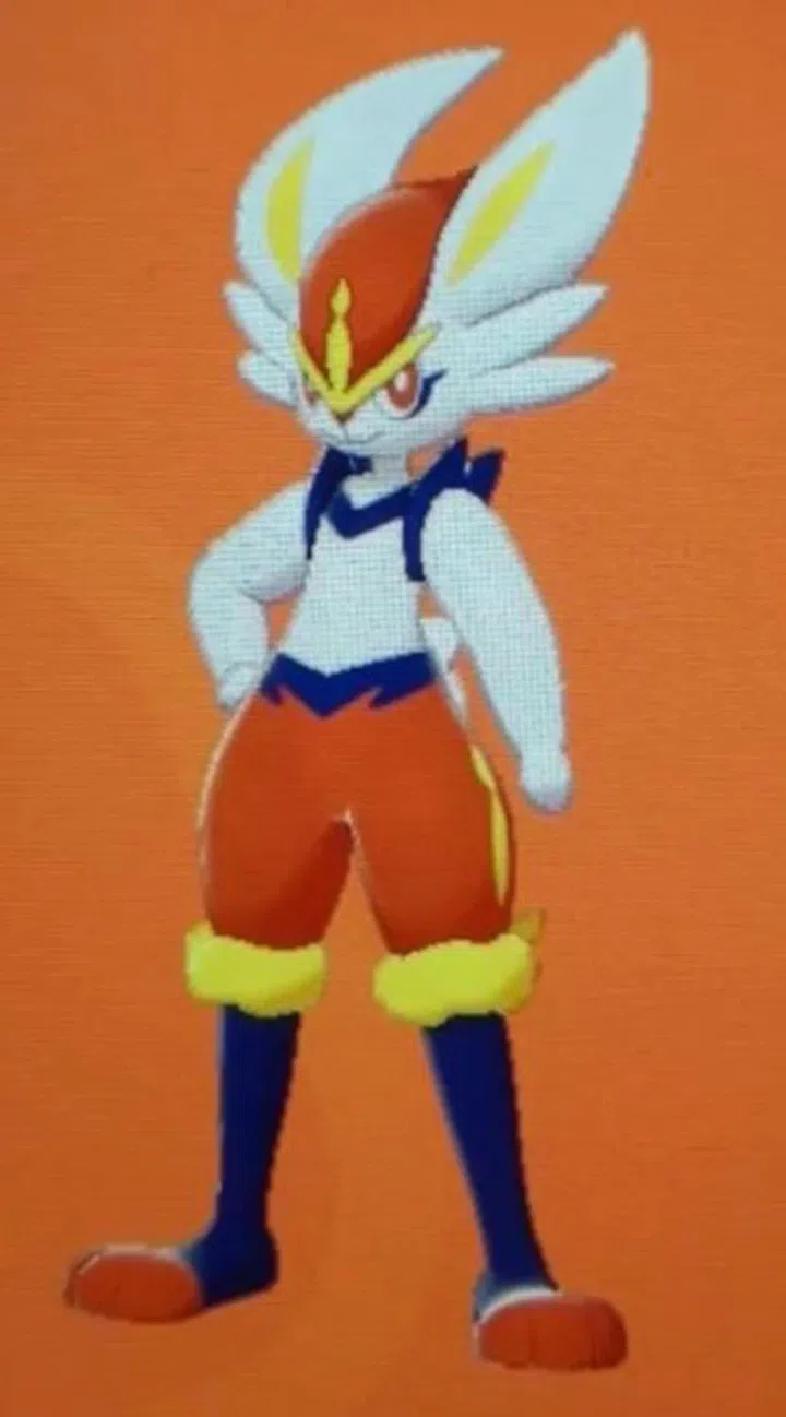 Scorbunny's final evolution - Cinderace. 