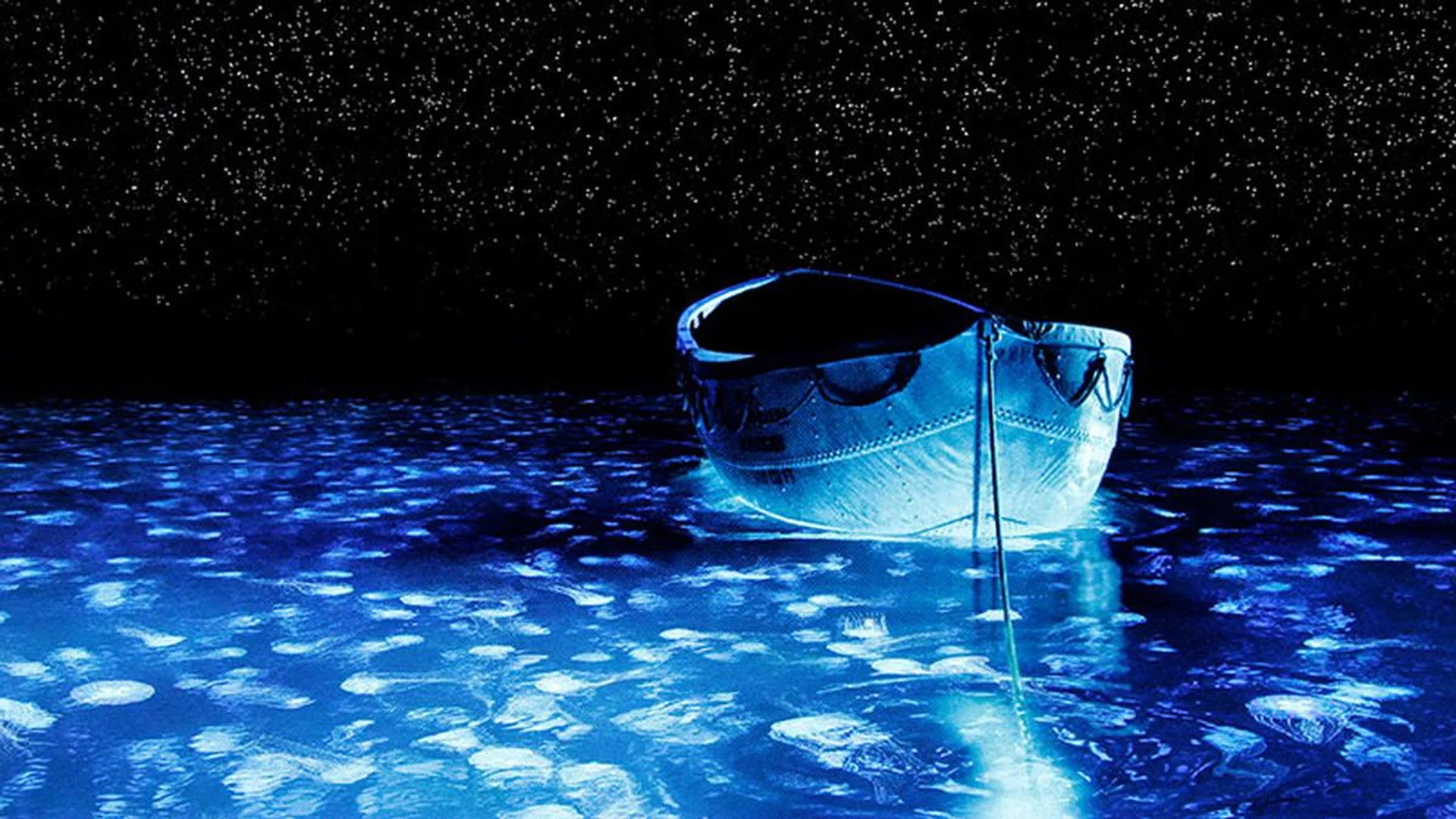 While the blacks aren't as deep as OLED, HDR still looks great on the Q9F thanks to the excellent local dimming performance and high contrast. (Movie: Life of Pi.)