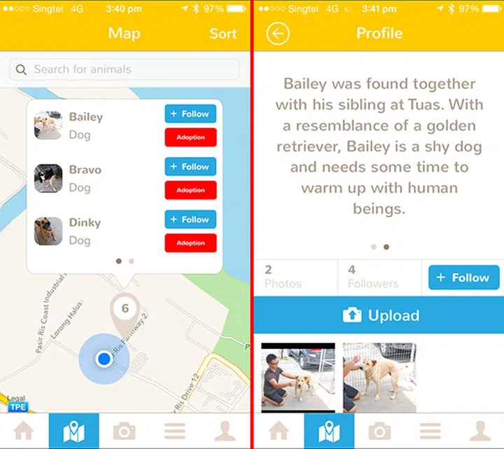 You can find Bailey, Dinky, Oley, Sunny and Bravo by zooming into Pasir Ris Farmway 2.