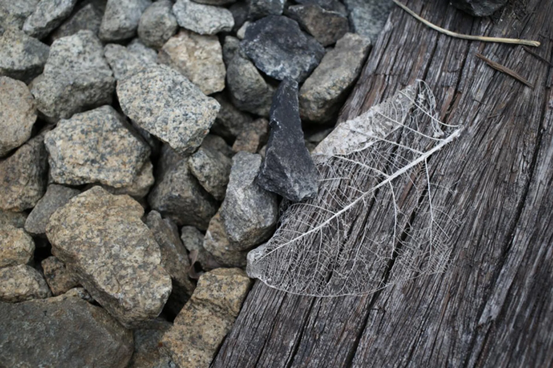 f/5.6 at 40mm, 1/80 sec, ISO 100.