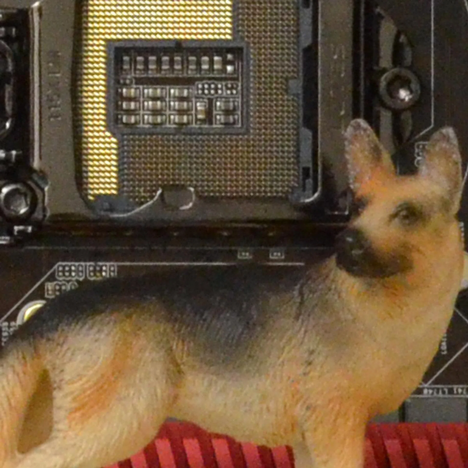 ISO3200. 100% crop of our test scene, click for the full resolution image.