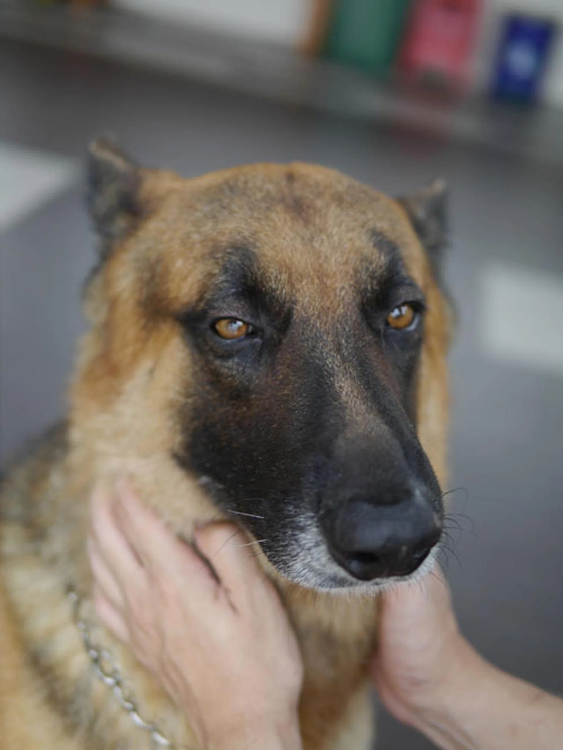 f/1.4 at 25mm, 1/800 sec, ISO160.