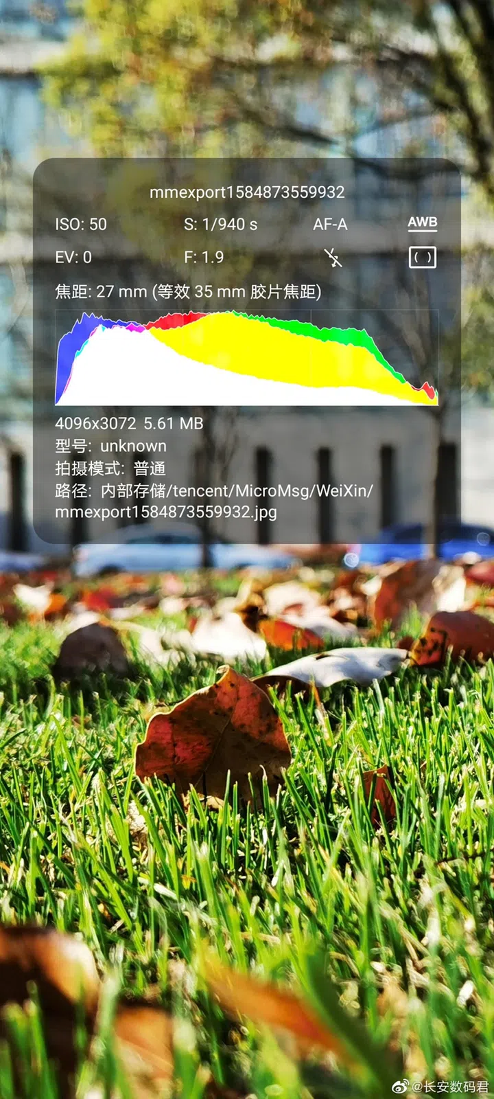 Histogram for the shot taken above.