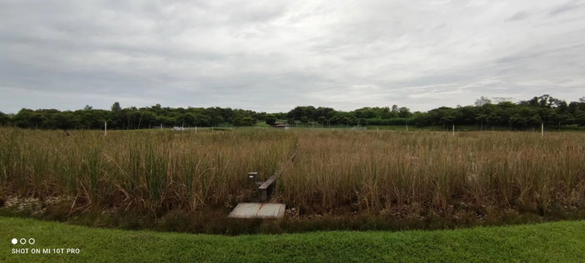 Ultra-wide shot (0.6x zoom)