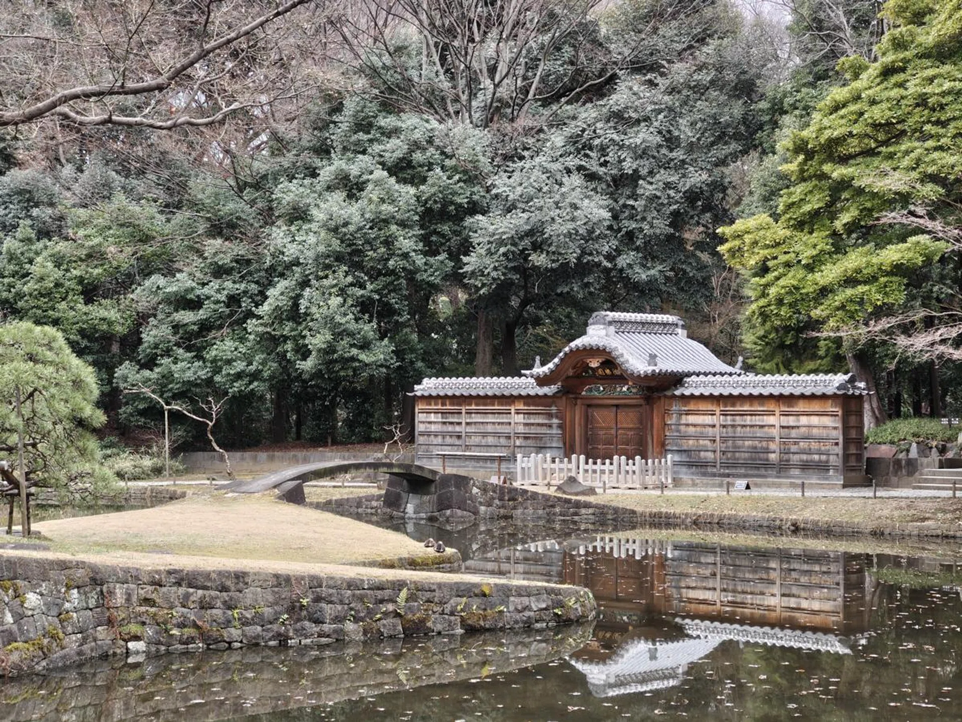 Nothing Phone (3a) Pro 3x optical zoom. Photo: HWZ.