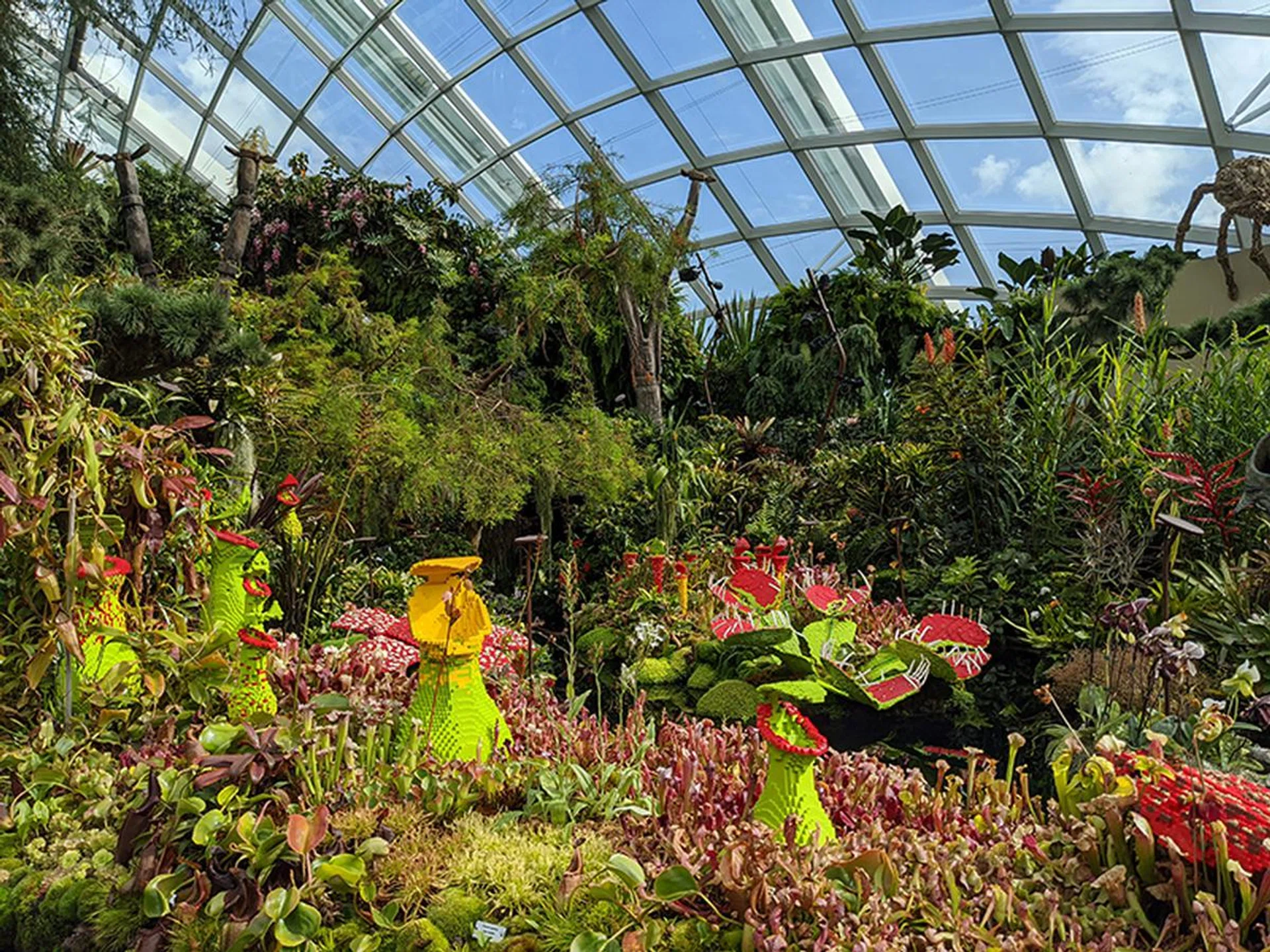 Pixel 4 XL. (Click to view full-size image)