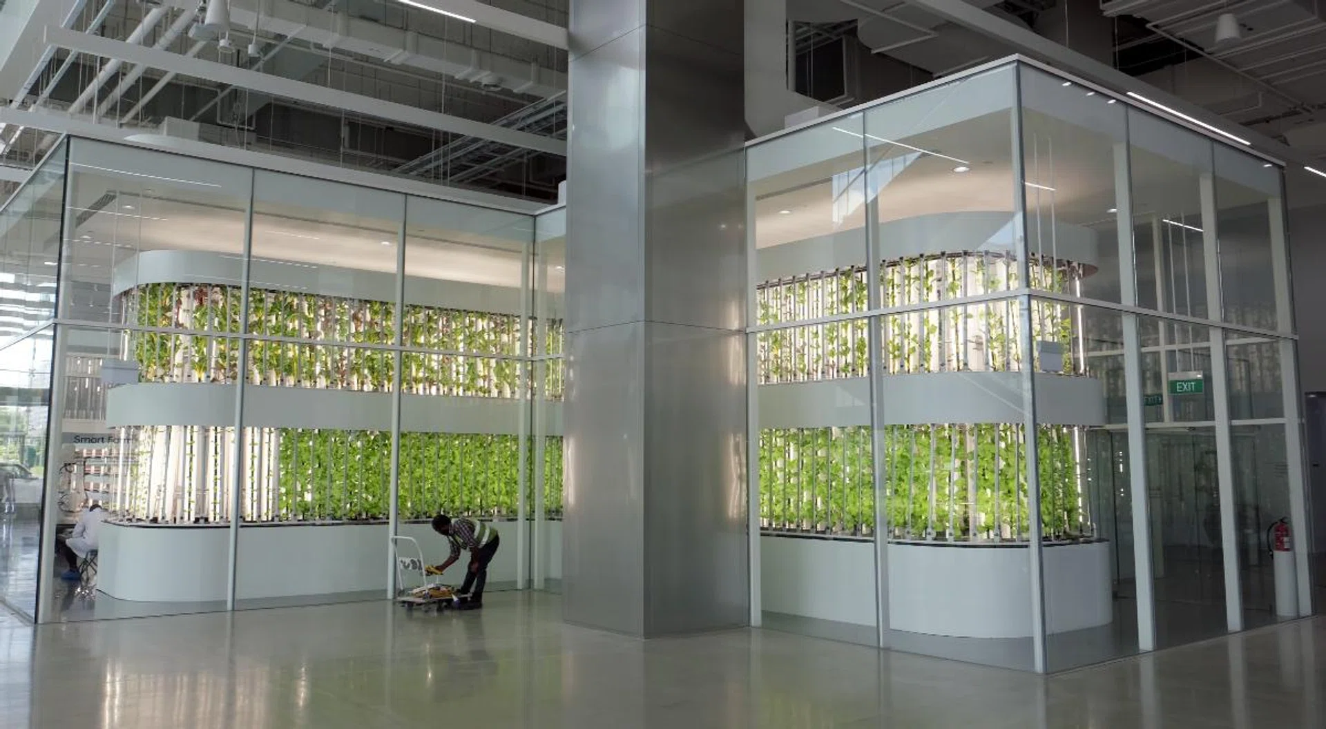 The centrepiece of the main entrance lobby has to be one of HMGICS' two smart farms.