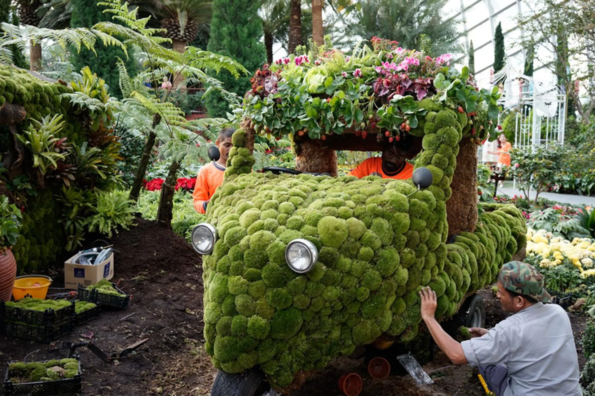 f/5.6 at 35mm, 1/60 sec, ISO 400.