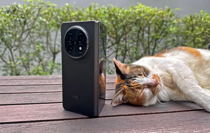 OPPO Find N5. The cat is not a paid actor. Photo: HWZ.