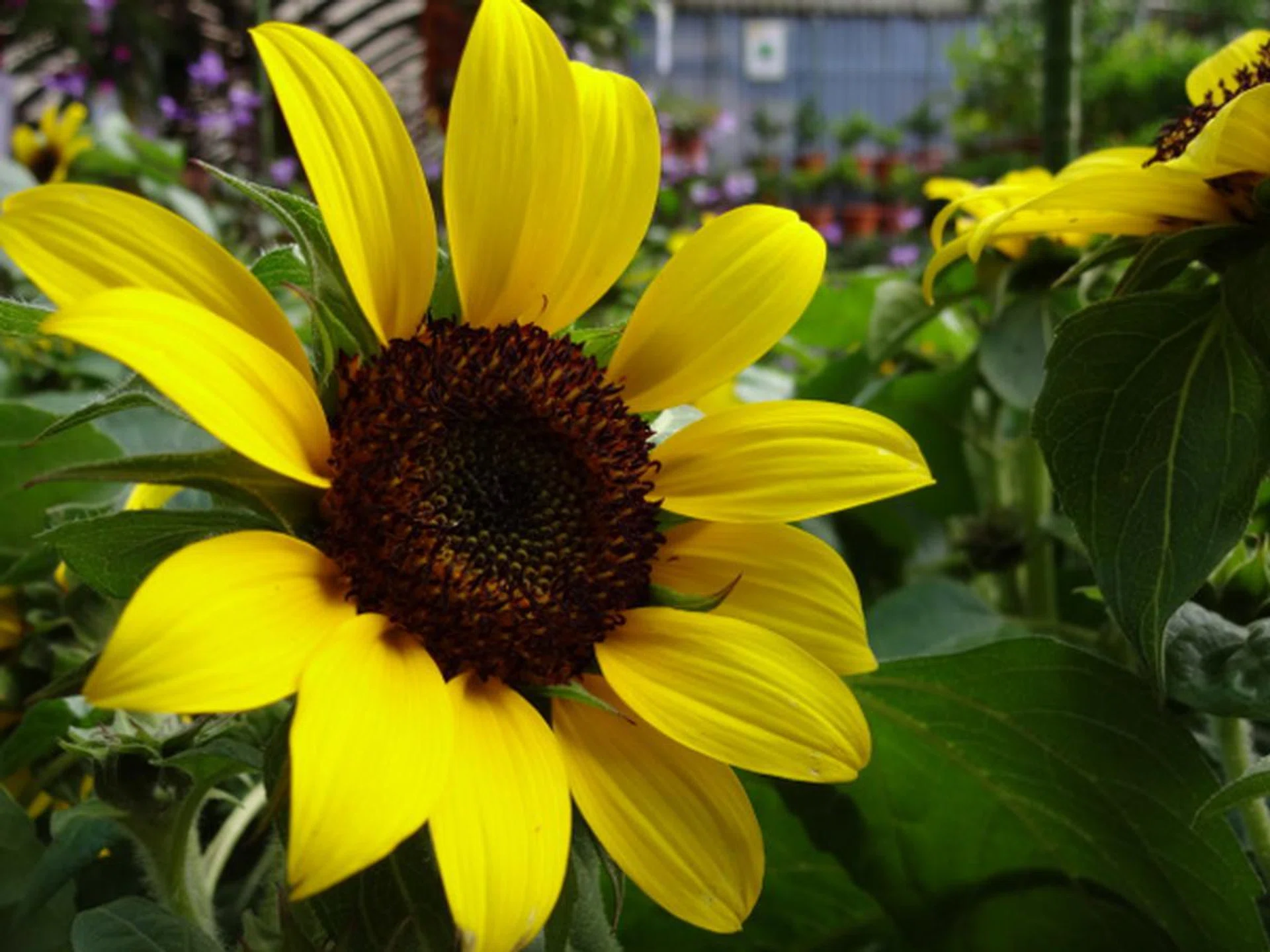 f/3.5 at 163mm, 1/50 sec, ISO100