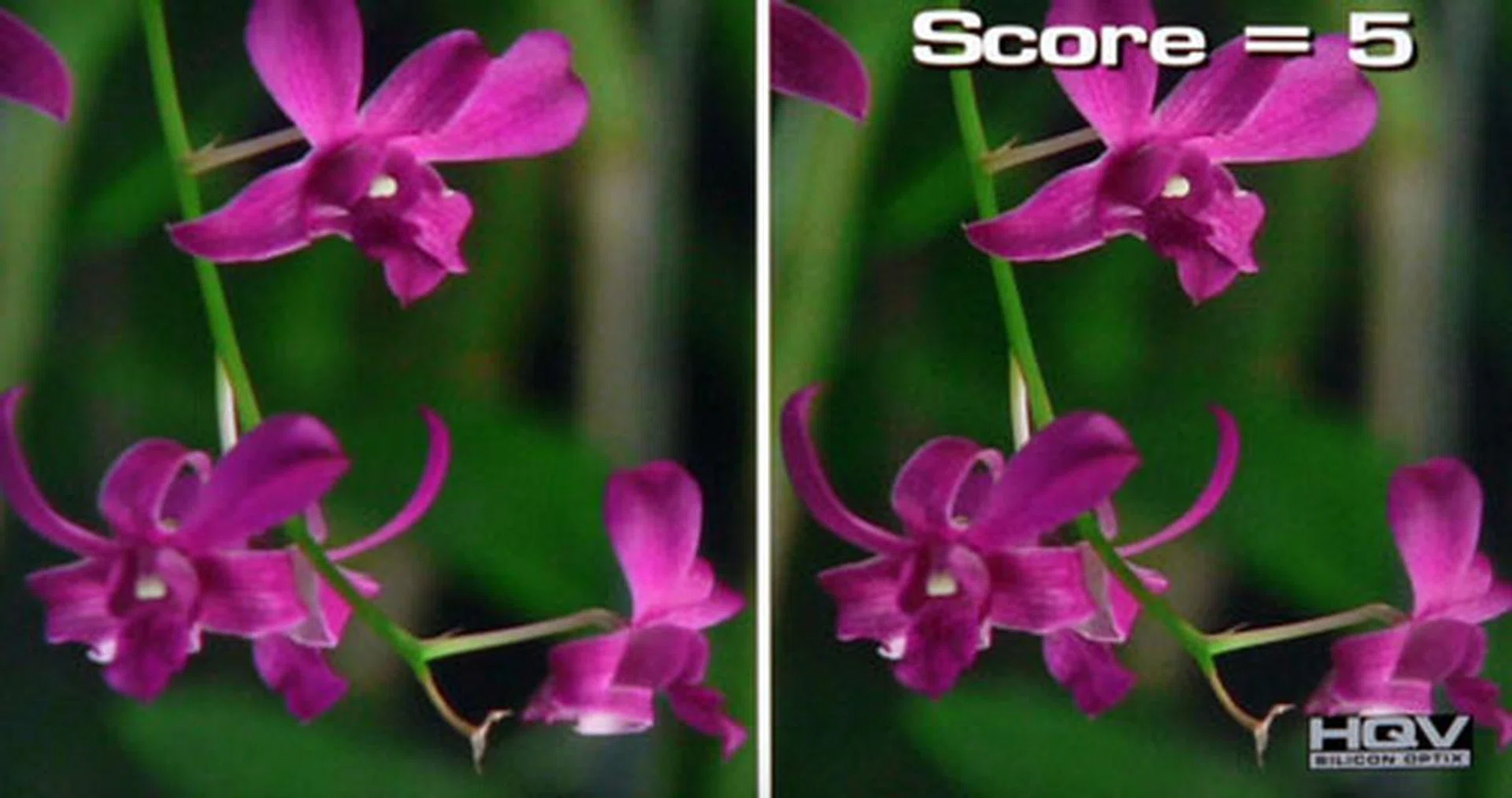 HQV Digital Noise Filtering Test: Sony's primary Noise Reduction feature didn't remove noise grains as effectively as anticipated. On the other hand, the video processor and X-Reality Pro engine were excellent at rendering moving interlaced images. 