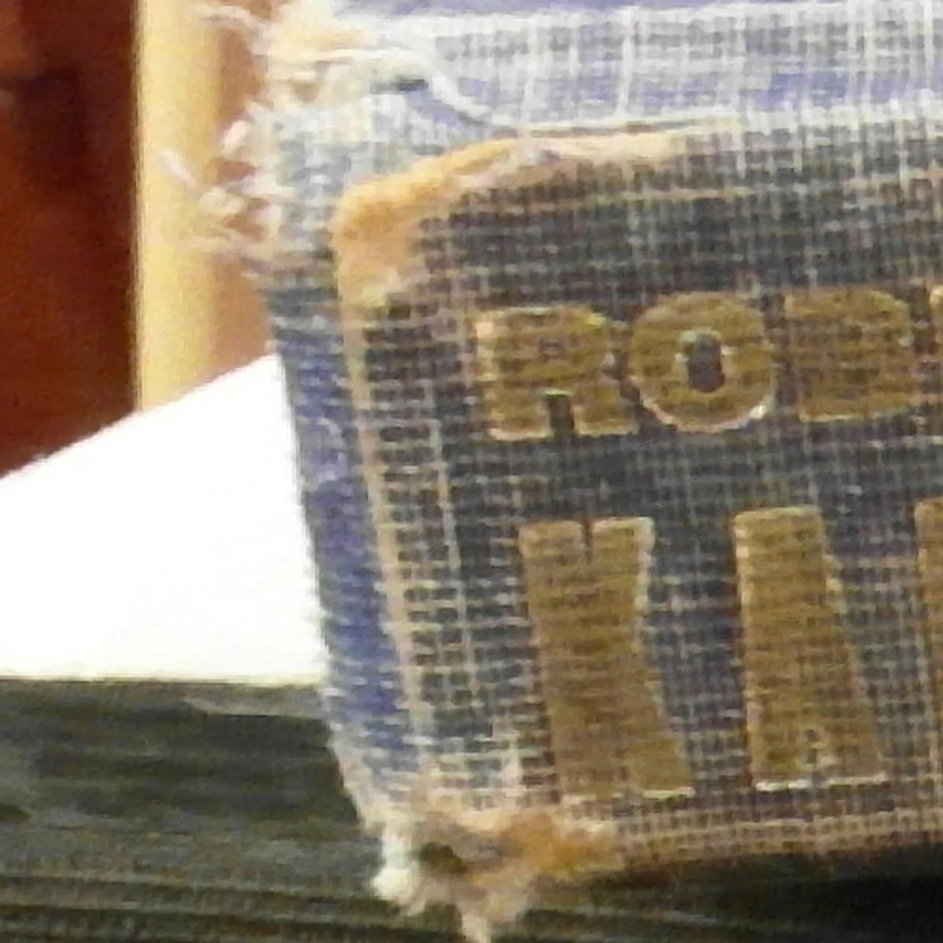 100% crop at ISO1600 reveals that details have started to smudge