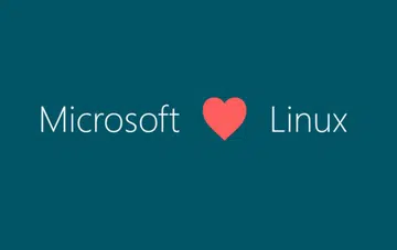 (Image: Microsoft.)